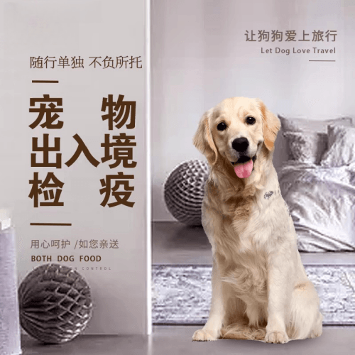 黄冈市宠物托运到哥伦比亚猫狗宠物入境规定和