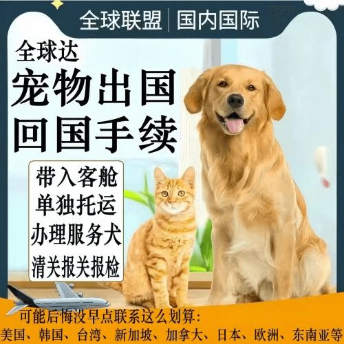 黄冈市宠物托运到柬埔寨宠物入境规定和要求