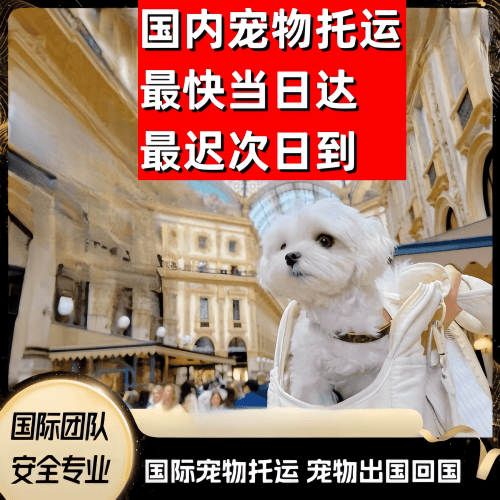 黄冈市到澳大利亚（澳洲）宠物入境规定和要求