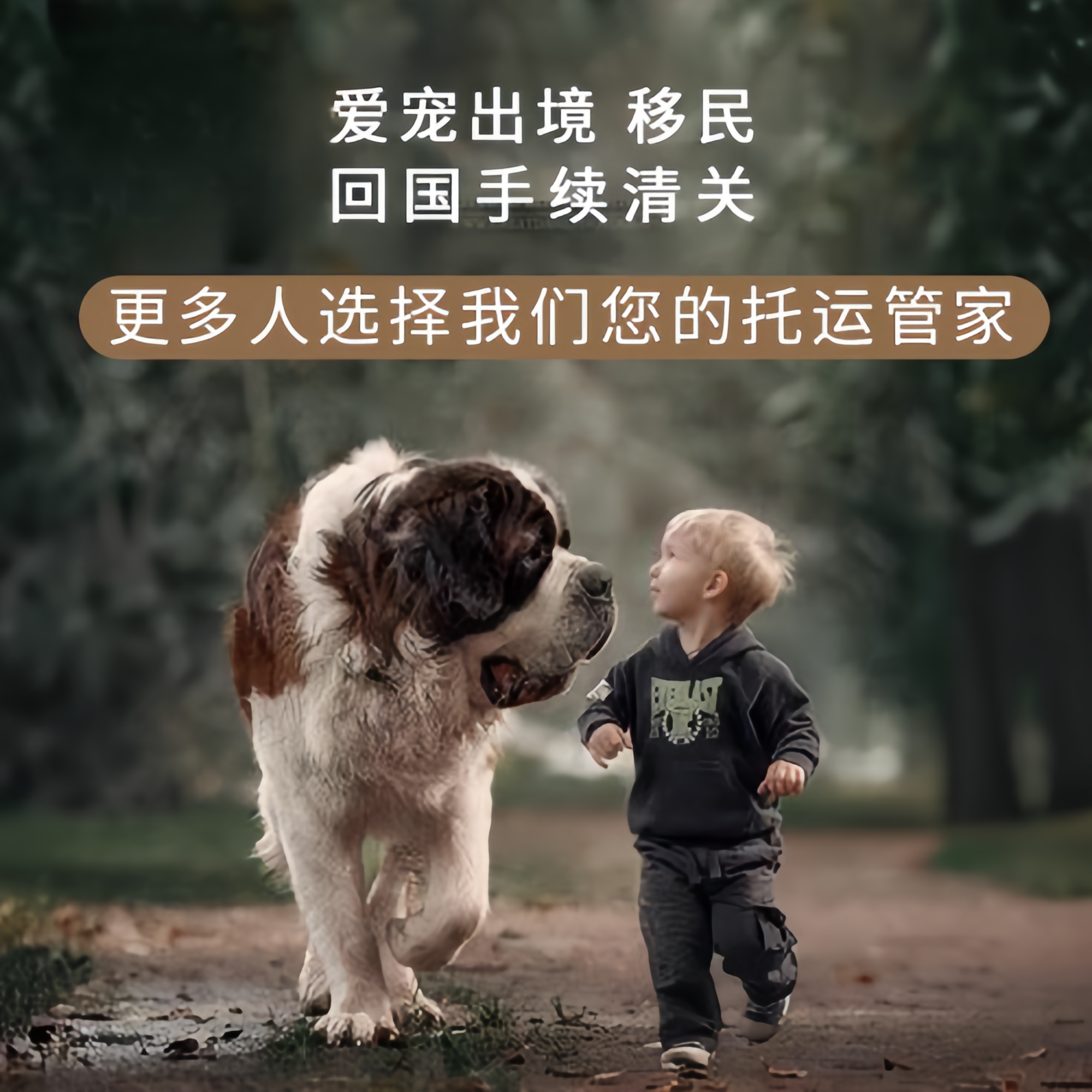 满财黄冈市宠物全球达宠物托运在遵守入境目的地政策的条件