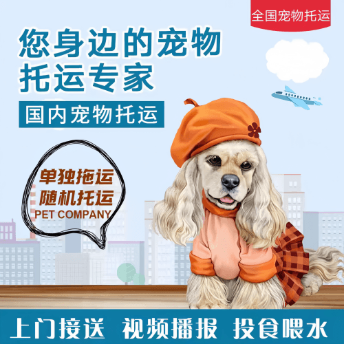 满财黄冈市宠物全球达宠物托运作为专业的宠物运输代理机构
